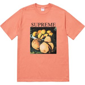 supreme still life tee white