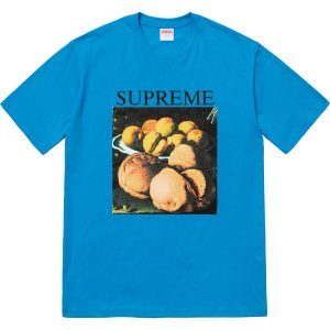 supreme still life tee navy