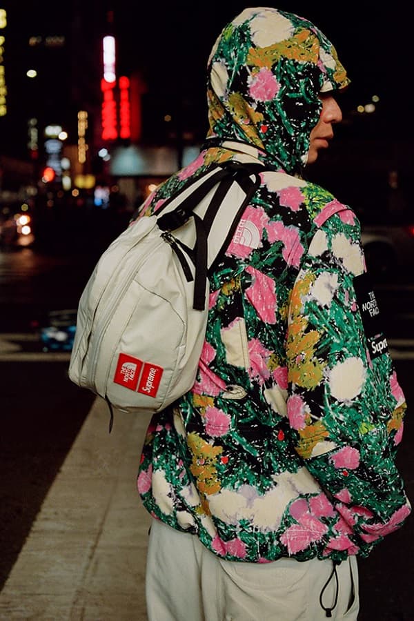 Supreme '22S/S Week16 The North Face | Supreme Plus