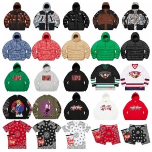 Supreme 発売済みアイテム一覧*